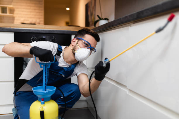Pest Control Cost in Kahului, HI