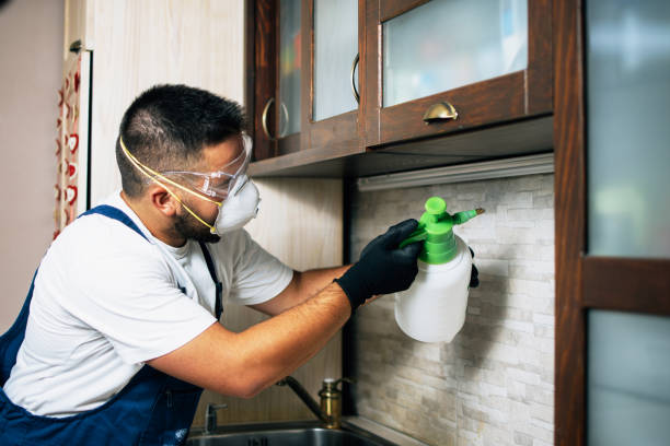 Best Pest Prevention Services  in Kahului, HI
