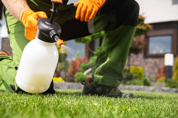 Best Affordable Pest Control Services  in Kahului, HI