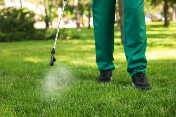 Best Emergency Pest Control  in Kahului, HI