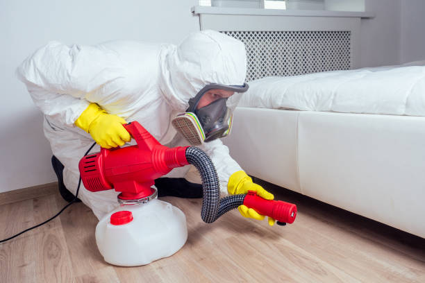 Pest Prevention Services in Kahului, HI